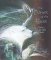The Power of the Bear : Paintings by Susan Seddon Boulet cover