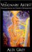 The Visionary Artist : Visualizations for Creative Exploration cover