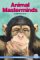 Animal Masterminds : A Chapter Book cover