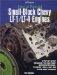 How to Rebuild Small-Block Chevy Lt-1/Lt-4 Engines : Step-By-Step Rebuild to Factory Specifications, Covers 1992-1997 Gm Cars and Trucks cover
