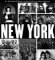  New York: An Illustrated History of the People