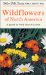Wildflowers of North America : A Guide to Field Identification cover