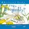 Are You a Dragonfly? cover