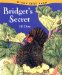 Bridget's Secret cover