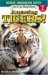 Amazing Tigers! cover