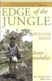 Edge of the Jungle [Click for larger image]