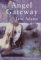 The Angel Gateway cover