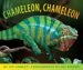  Chameleon, Chameleon