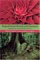  Tropical Forest Diversity and Dynamism: Findings from a Large-Scale Plot Network