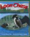 Loon Chase cover