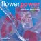 Flower Power : Cooking With Petals, Blossoms and Blooms cover