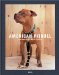 American Pitbull cover