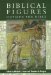 Biblical Figures Outside the Bible cover