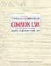 The History of American Constitutional or Common Law With Commentary Concerning : Equity and Merchant Law cover