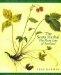 The Scots Herbal cover