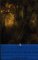 An Outcast of the Islands cover