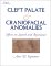 Cleft Palate and Craniofacial Anomalies : The Effects on Speech and Resonance cover