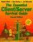 The Essential Client/Server Survival Guide cover