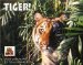 Tiger! 2003 Calendar cover