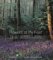 Flowers at My Feet : The Wild Flowers of Britain and Ireland in Photographs cover