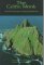 The Celtic Monk : Rules and Writings of Early Irish Monks cover