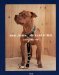Marc Joseph : American Pitbull cover