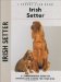Irish Setter cover