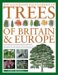THE ILLUSTRATED ENCYCLOPEDIA OF TREES OF BRITAIN & EUROPE : The ultimate reference guide and identifier to more than 700 of the most spectacular, best-loved and unusual trees, with over 1700 specially commissio cover