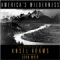 Americas Wilderness : The Photographs of Ansel Adams cover