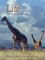Life : The Science of Biology cover