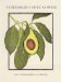 Vegetables of Chez Panisse 2003 Calendars cover