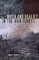 Myth and Reality in the Rain Forest : How Conservation Strategies Are Failing in West Africa cover