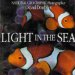 Light in the Sea cover