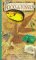  Rocks & Fossils
