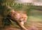 Wild at Heart : Man and Beast in Southern Africa cover