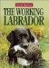 The Working Labrador cover
