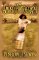 The Amber Photograph : A Novel cover