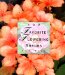 100 Favorite Flowering Shrubs cover
