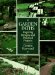 Garden Paths : Inspiring Designs and Practical Projects cover