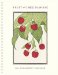 Fruits of Chez Panisse 2004 Calendar cover