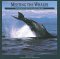Meeting the Whales : The Equinox Guide to Giants of the Deep cover
