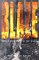 Blaze : The Forensics of Fire cover