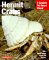  Hermit Crabs: Everything About Anatomy, Ecology, Purchasing, Feeding, Housing, Behavior, and Illness