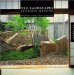 10 Landscapes Shunmyo Masuno cover