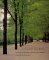  Invisible Gardens: The Search for Modernism in the American Landscape