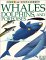  Whales, Dolphins and Porpoises