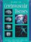 Primer on Cerebrovascular Diseases cover