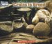 Grains to Bread cover