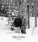 Fathers & Sons : Photographs, Quotes & Essays cover
