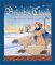 Brigid's Cloak : An Ancient Irish Story cover